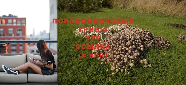 марихуана Магадан