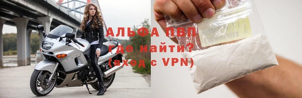 шишки Майский