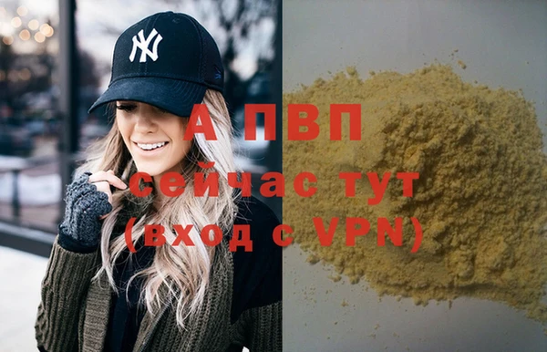 шишки Майский