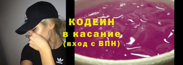 шишки Майский