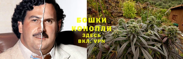 шишки Майский