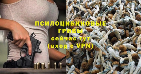 марихуана Магадан