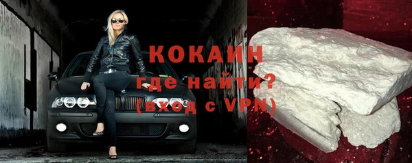 шишки Майский