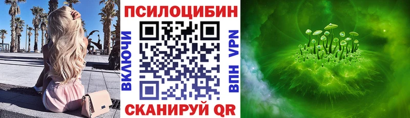 нарко площадка наркотические препараты  Комсомольск-на-Амуре  Псилоцибиновые грибы Psilocybine cubensis 