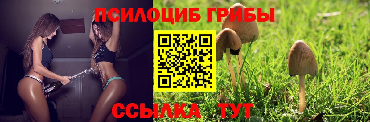 Комсомольск-на-Амуре  Псилоцибиновые грибы Cubensis  купить наркоту  Вход с VPN 